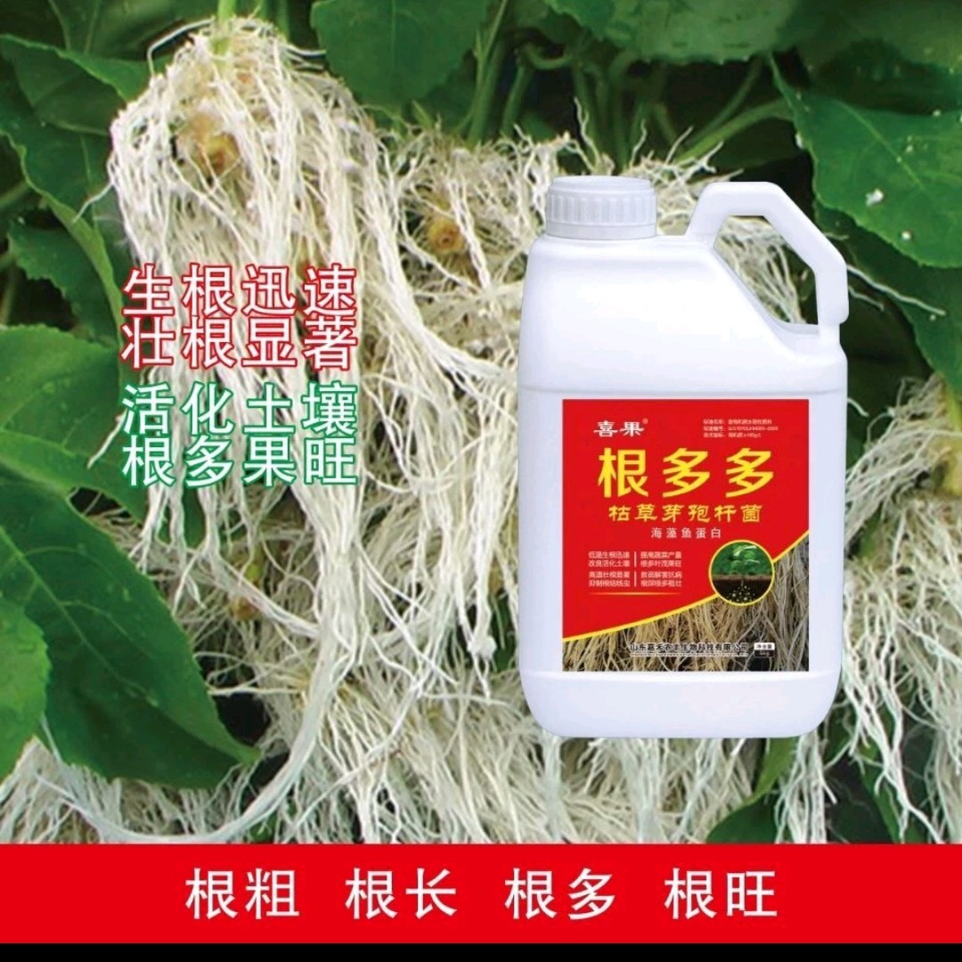 强力生根养根壮苗活化土壤水溶肥冲施肥根多多一箱20公斤包邮