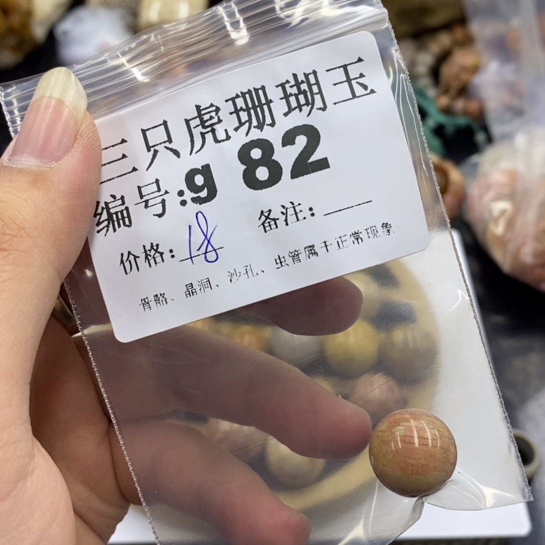 硅化珊瑚（珊瑚玉）未镶嵌1嘉****厂