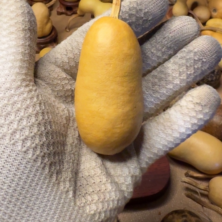 哇***唔葫芦1111111111111