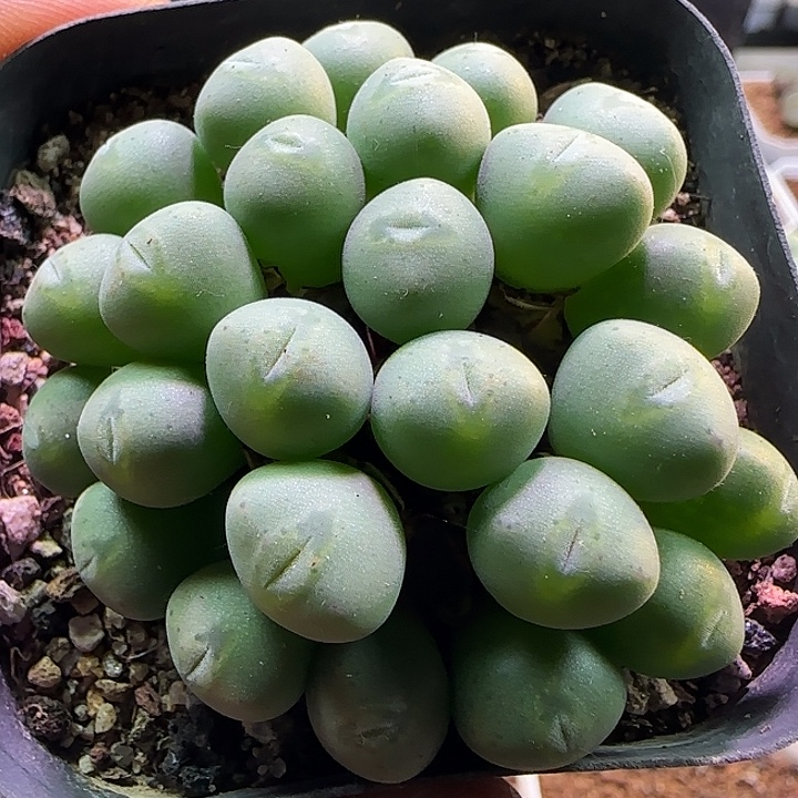 913哈哈哈哈哈哈哈哈