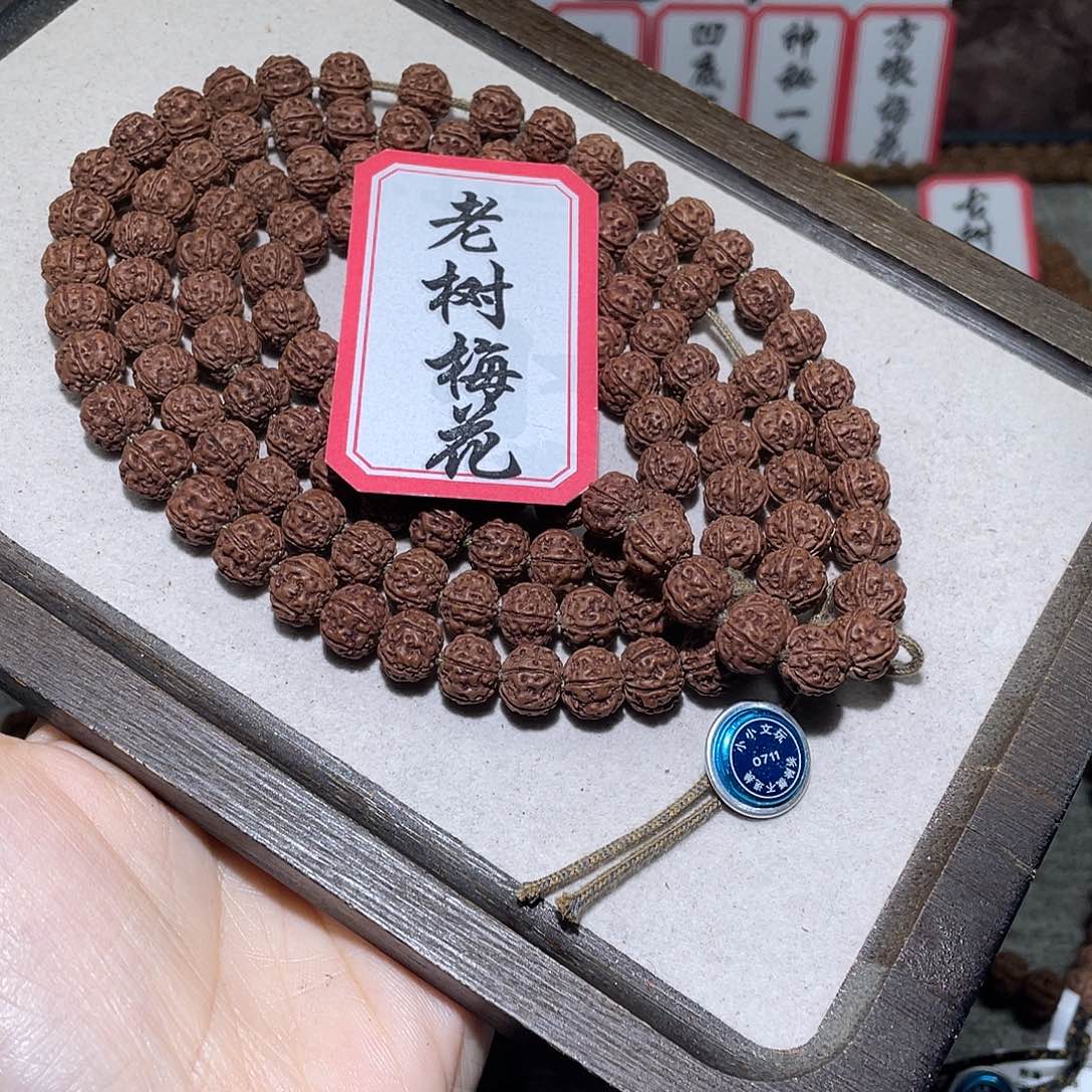 金刚菩提手串0711老树梅花