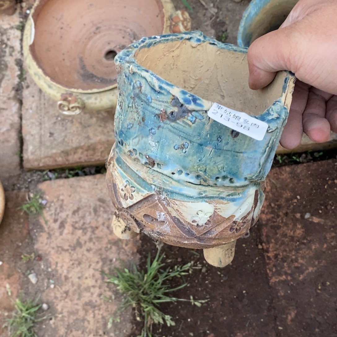 红陶心**情98号多肉盆一个呀