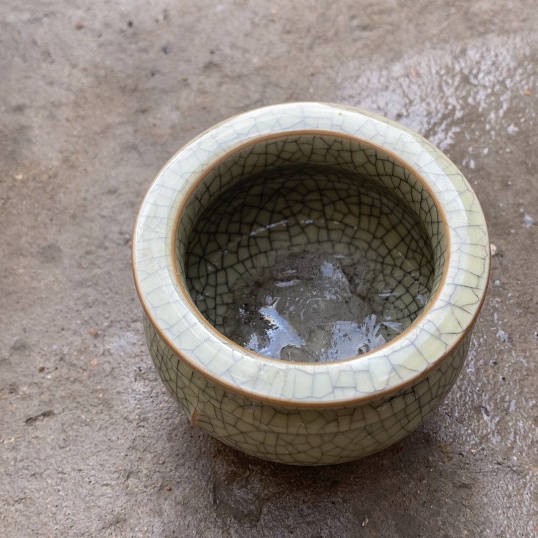 纯纯粹粹纯纯粹粹瓷