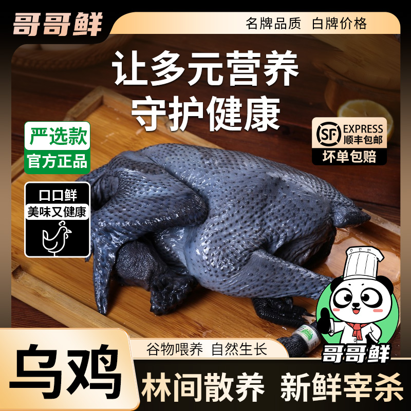 哥哥鲜农村山林散养乌鸡土鸡走地鸡生鲜