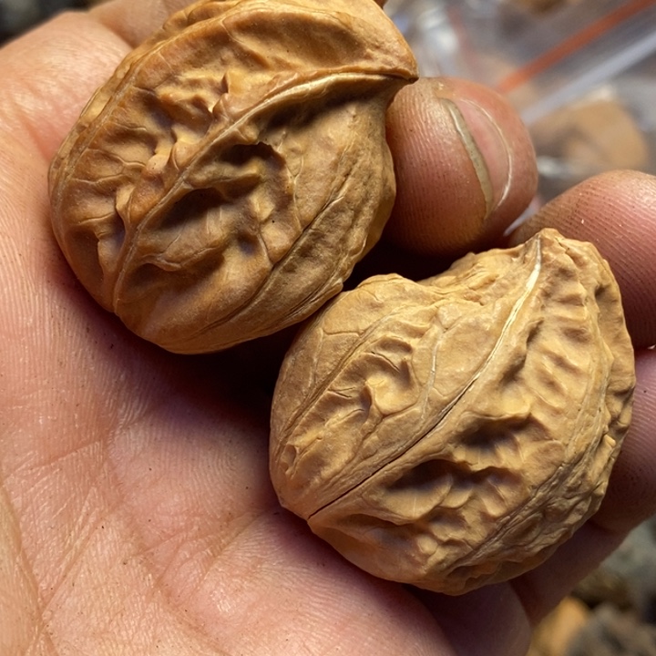 桃核吊坠裂痕一个85