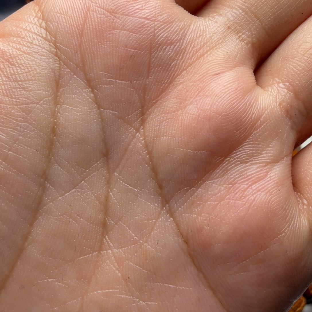 ****.手串/手链橄榄核23