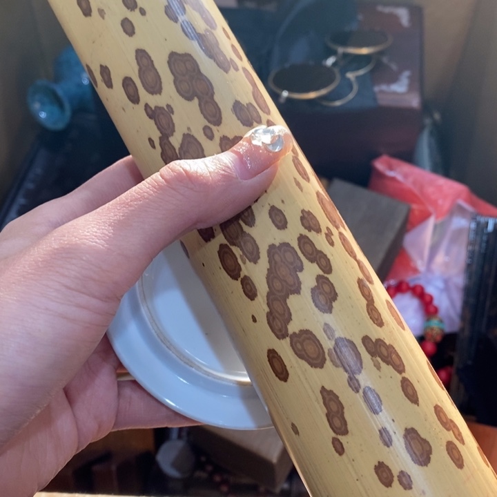 陶瓷艺术陶瓷艺术