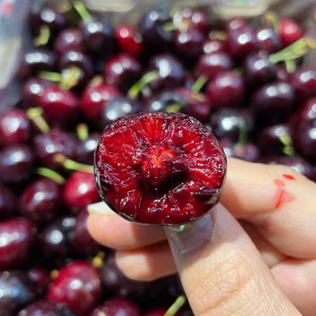 脆甜多汁2J智利进口产地净重2500g，海运车厘子，新鲜当季水果内附果径卡品牌随机发桑提娜樱桃智利