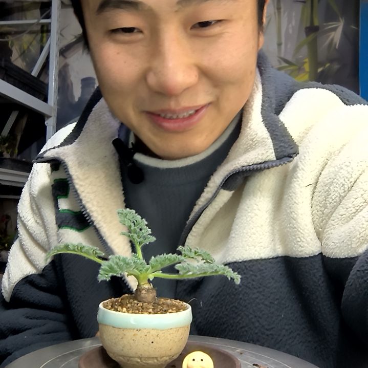 思***邪中青园艺一物一拍花290