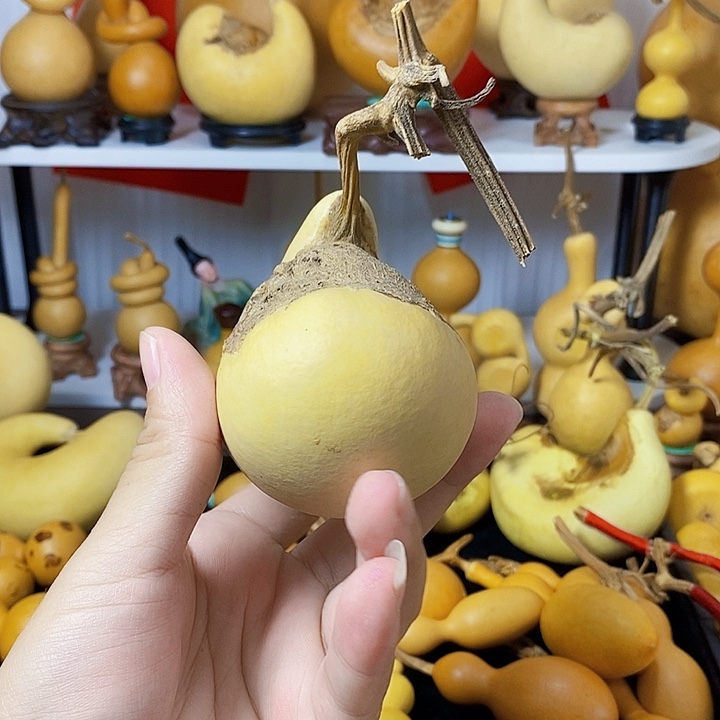 青***.腰子葫芦发发发发发
