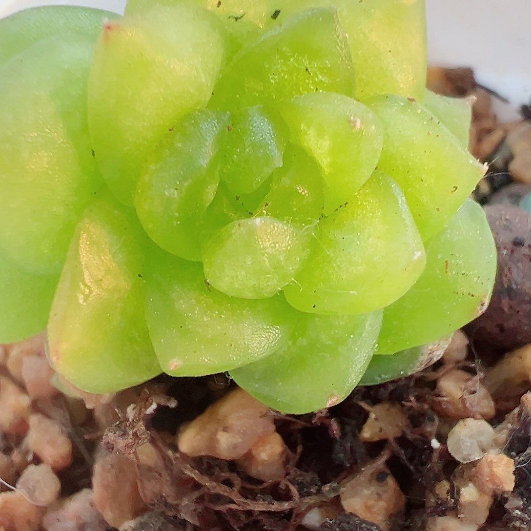 229哈哈哈哈哈哈哈哈