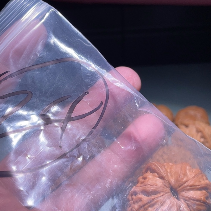 文玩核桃吊坠24呃呃呃