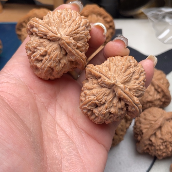 文玩核桃把件白狮子40