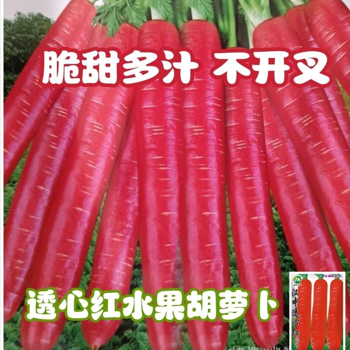 玫瑰红水果胡萝卜种子透心红胡萝卜种籽易种高产耐热耐寒四季种子