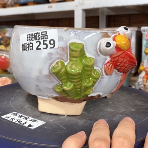 【闪购商品】     259