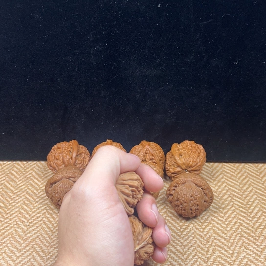 与***月不用来咯哦啦啊哦啊啦的