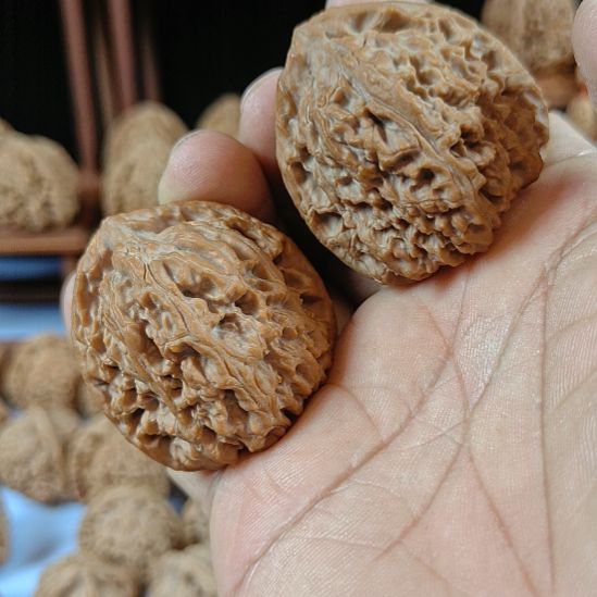 永***来完全开放南疆石核桃