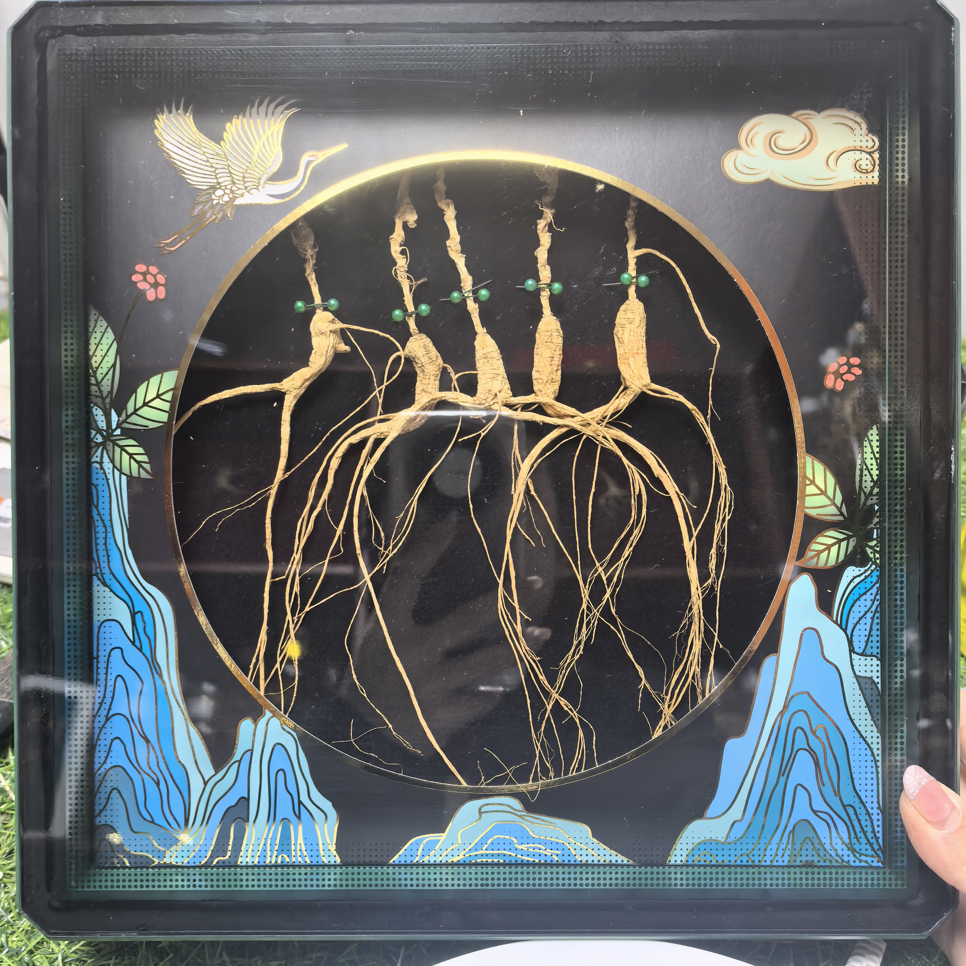 长白山林下籽参干参礼盒滋补品可煲汤煮水泡酒送礼佳品