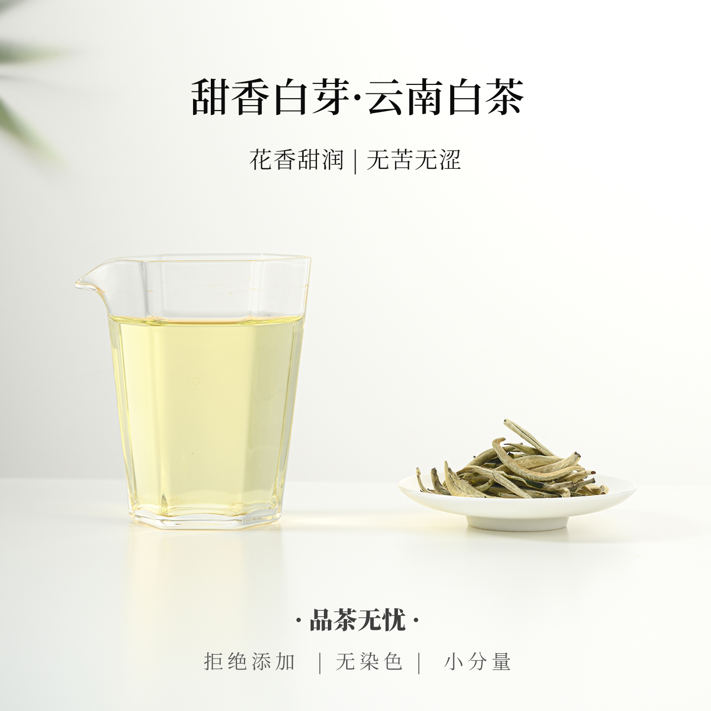 甜香白芽 云南白茶芽头大白毫花香甘甜