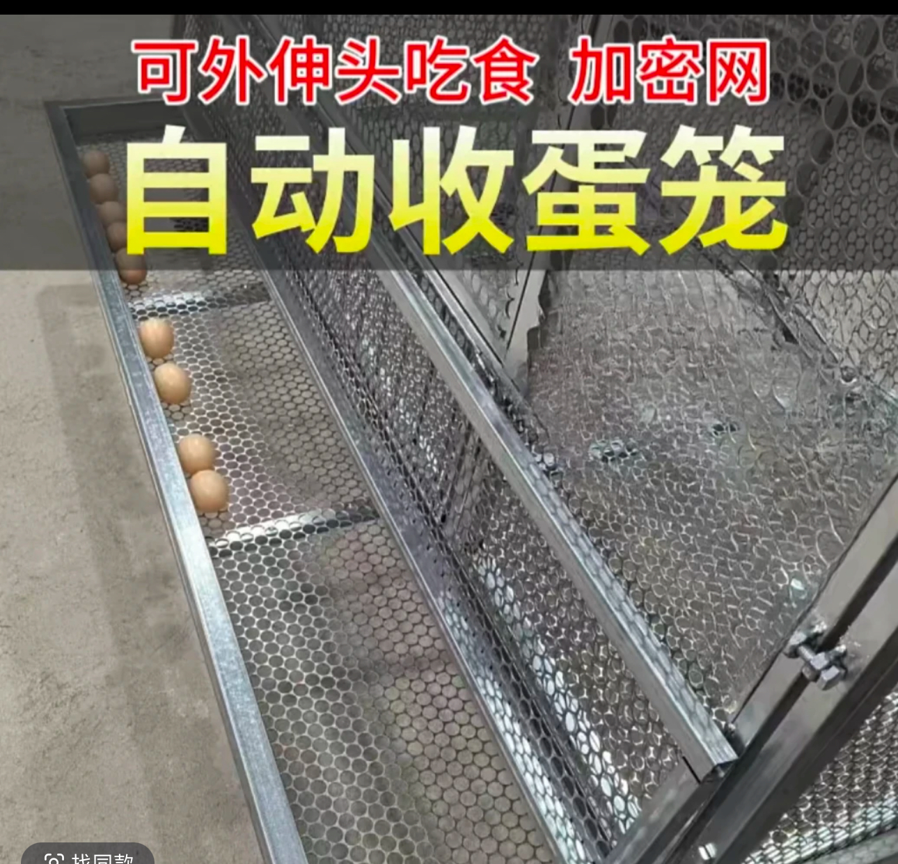 新款收蛋鸡笼螺丝固定安装结实耐用（无赠品）