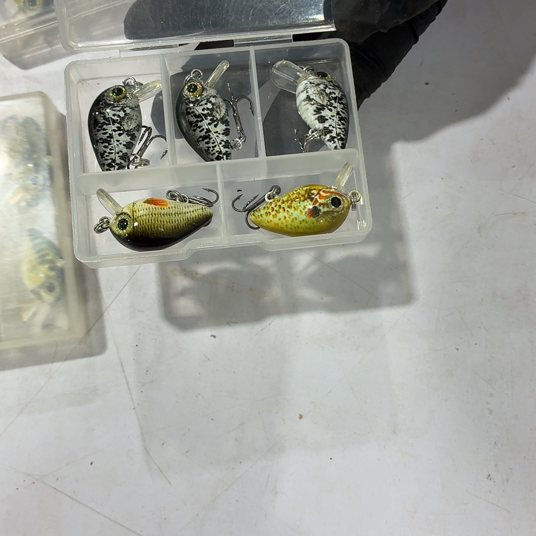 孤品101-1盒5枚颜色随机不退不换