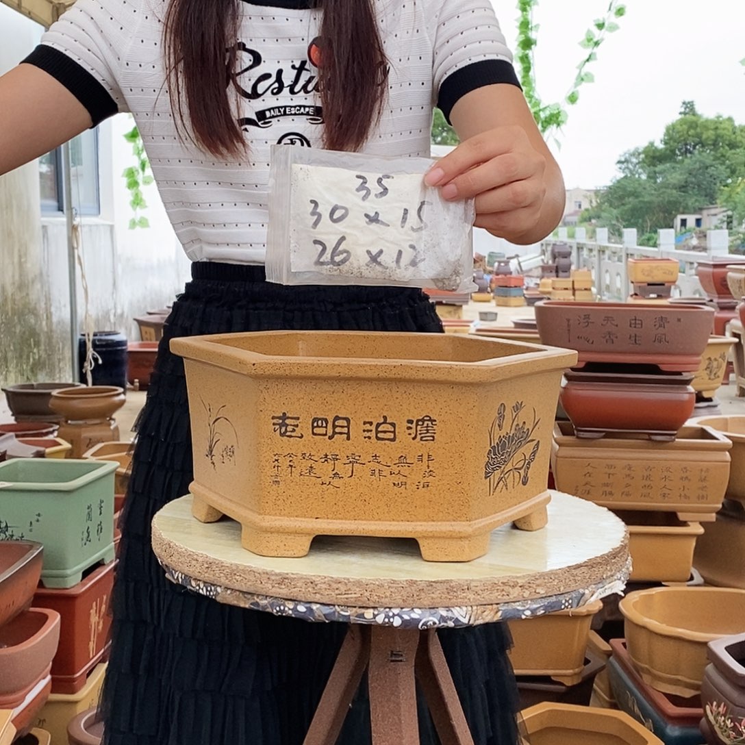 紫砂花盆紫砂花盆