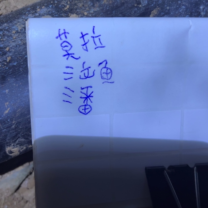 珠***宝莫拉/三文鱼/潘/三个品种金妞侧芽十公分60