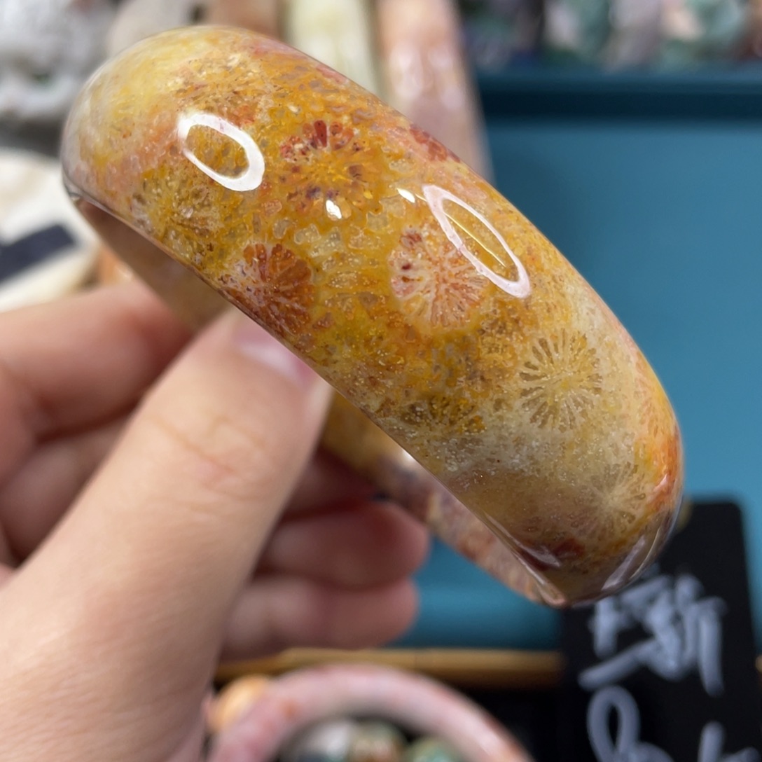 未镶嵌手镯硅化玉