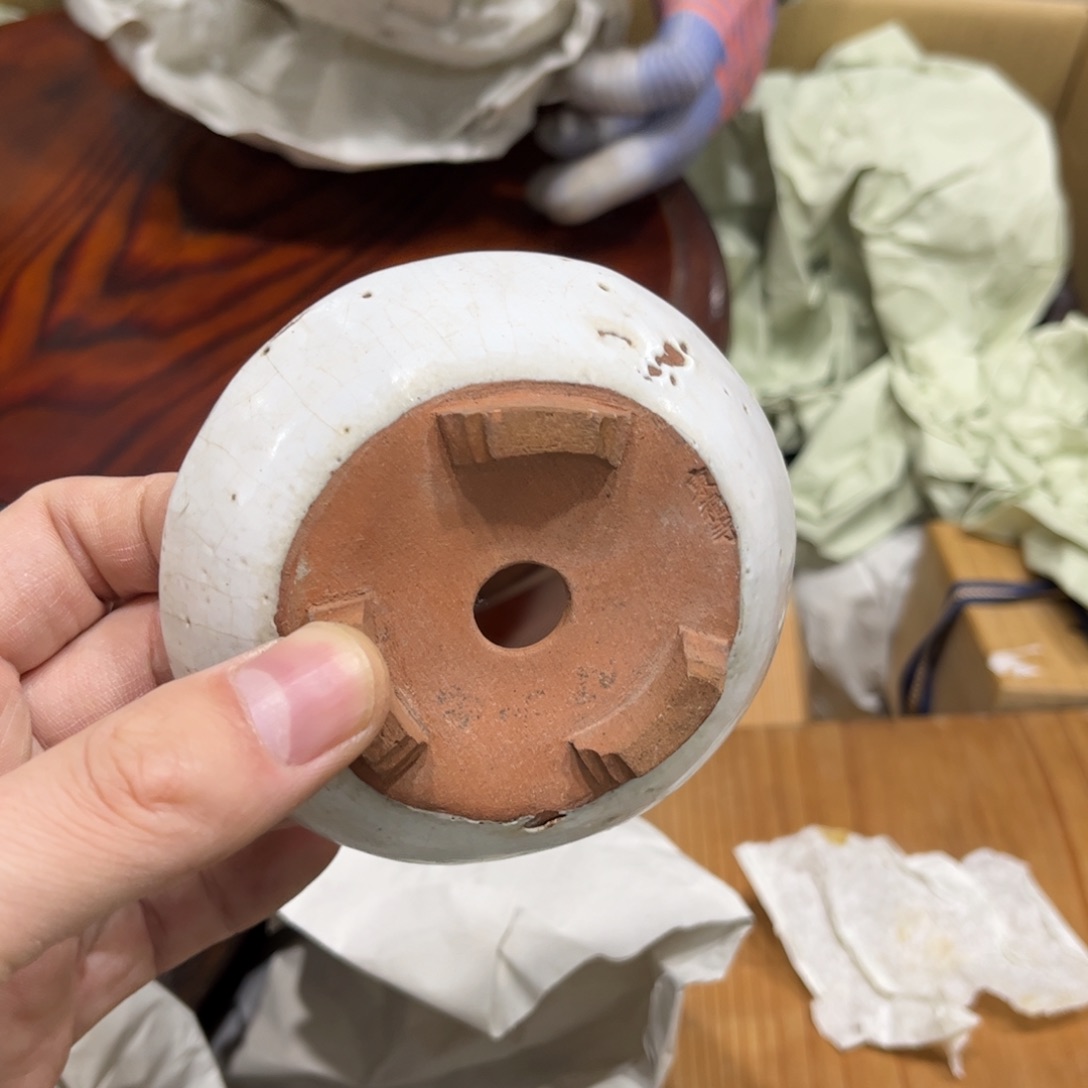再***限茶茶茶茶茶茶茶茶茶