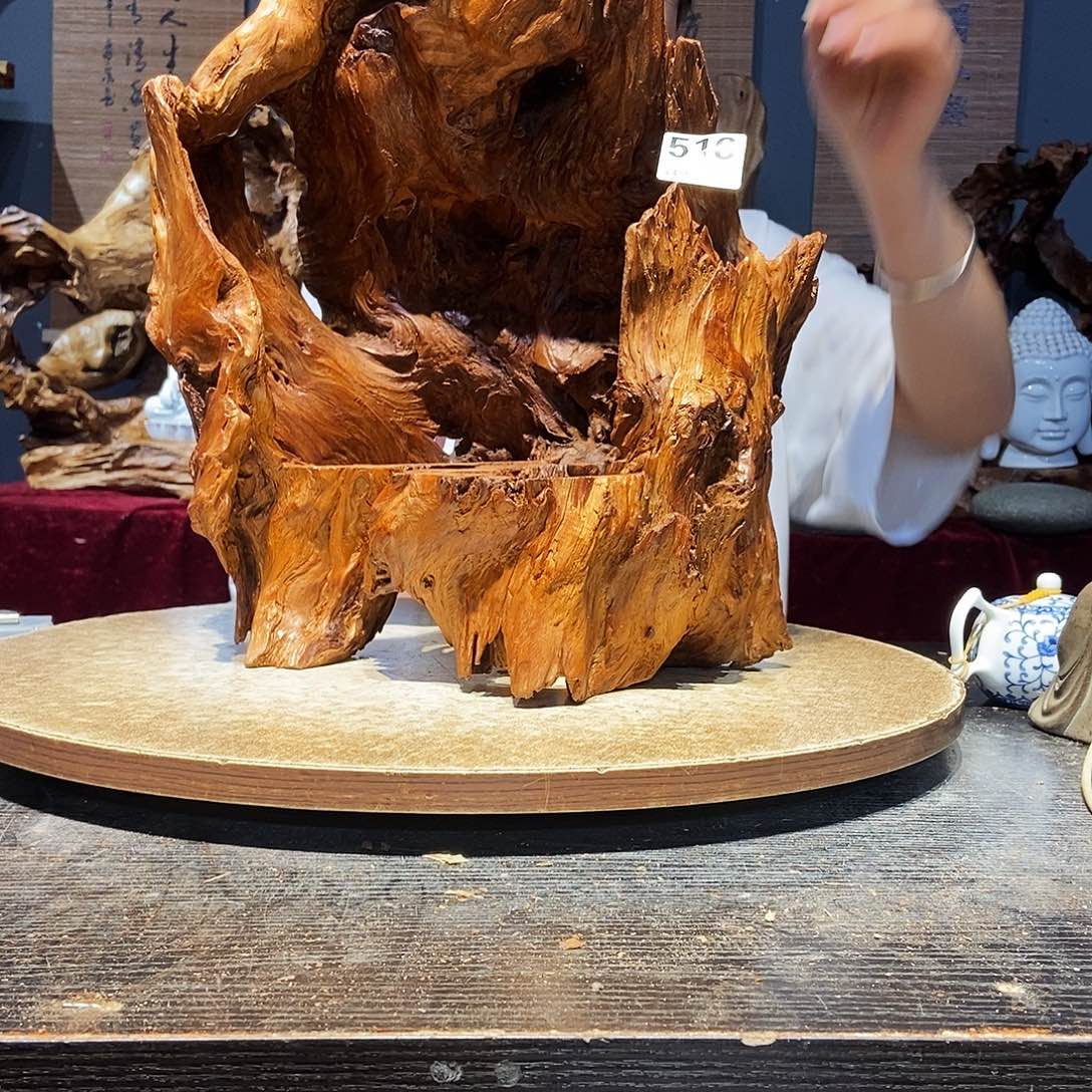 食***者516株木随行的小根艺