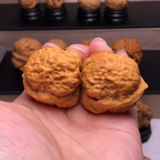 文玩核桃把件卧莲金蟾45