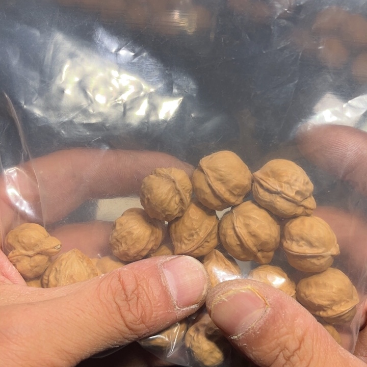 桃核手串自****叔野生小核桃6