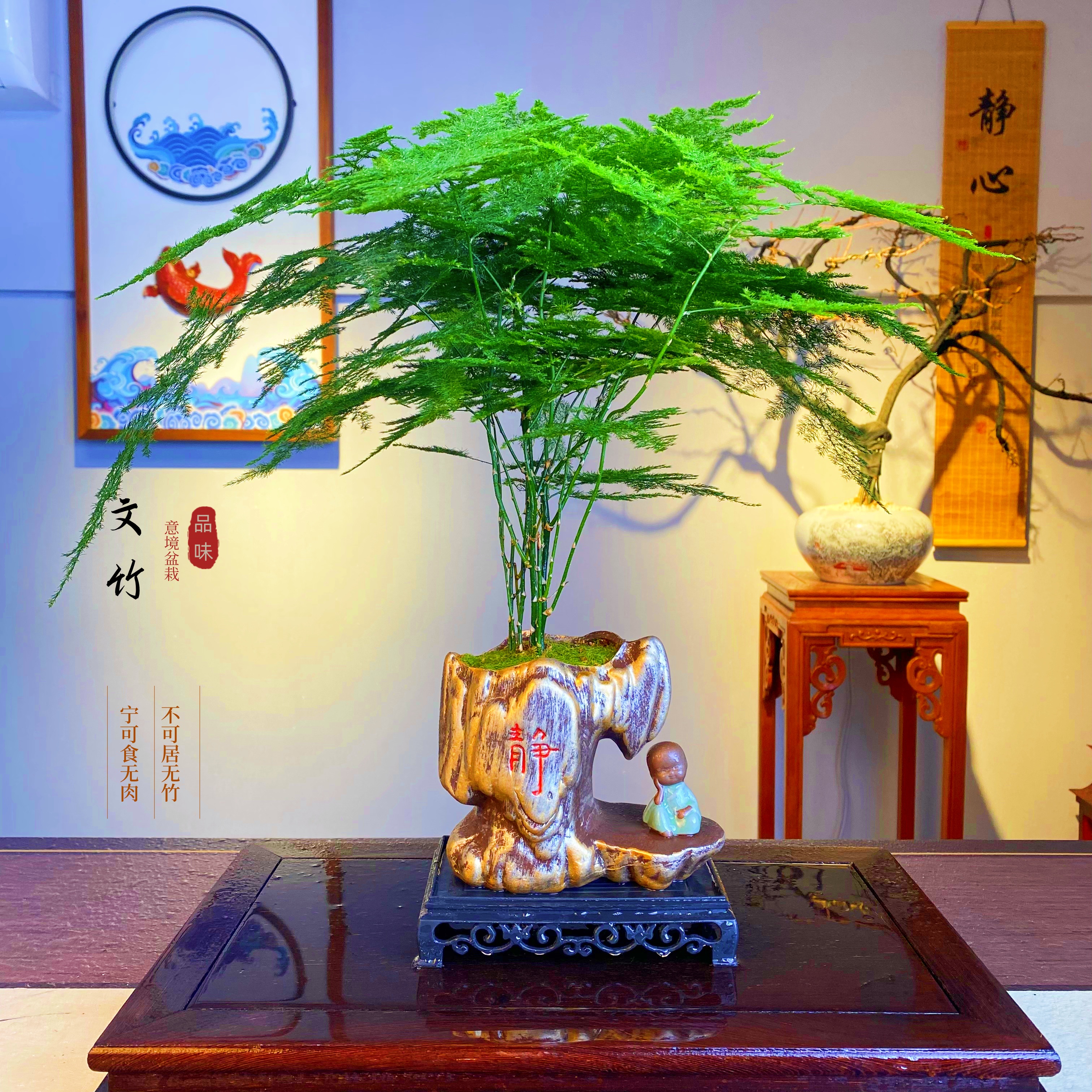文雅之竹意境盆景盆栽室内客厅茶桌书房庭院摆件四季好养