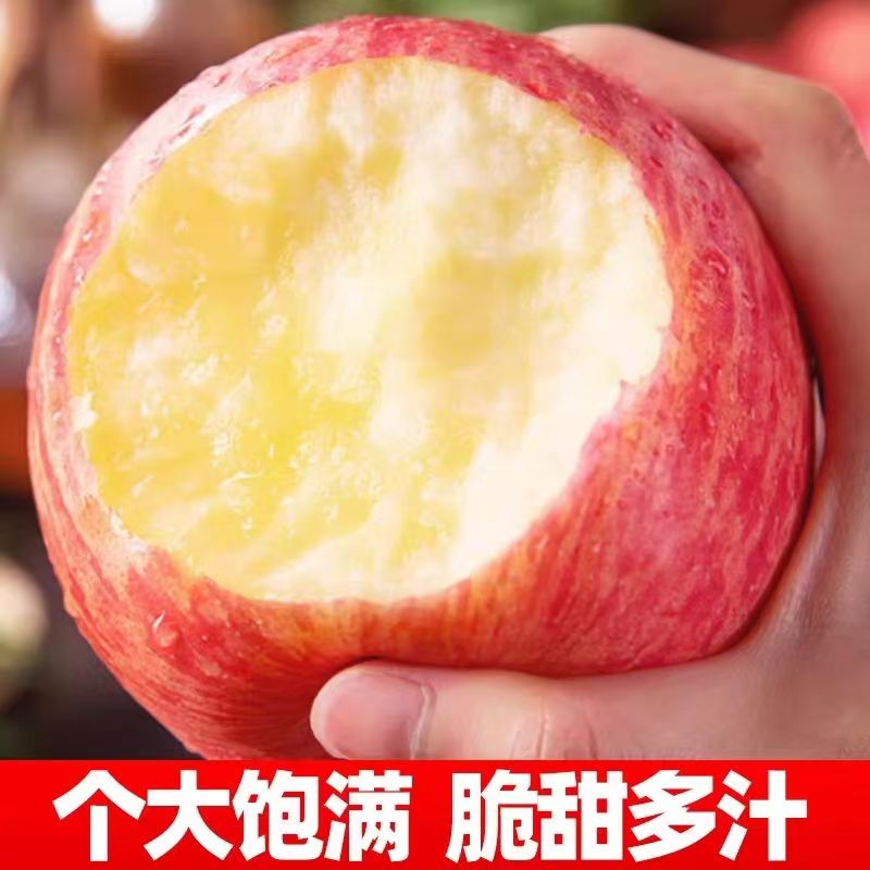 山东正宗红富士苹果脆甜多汁新鲜应季水果