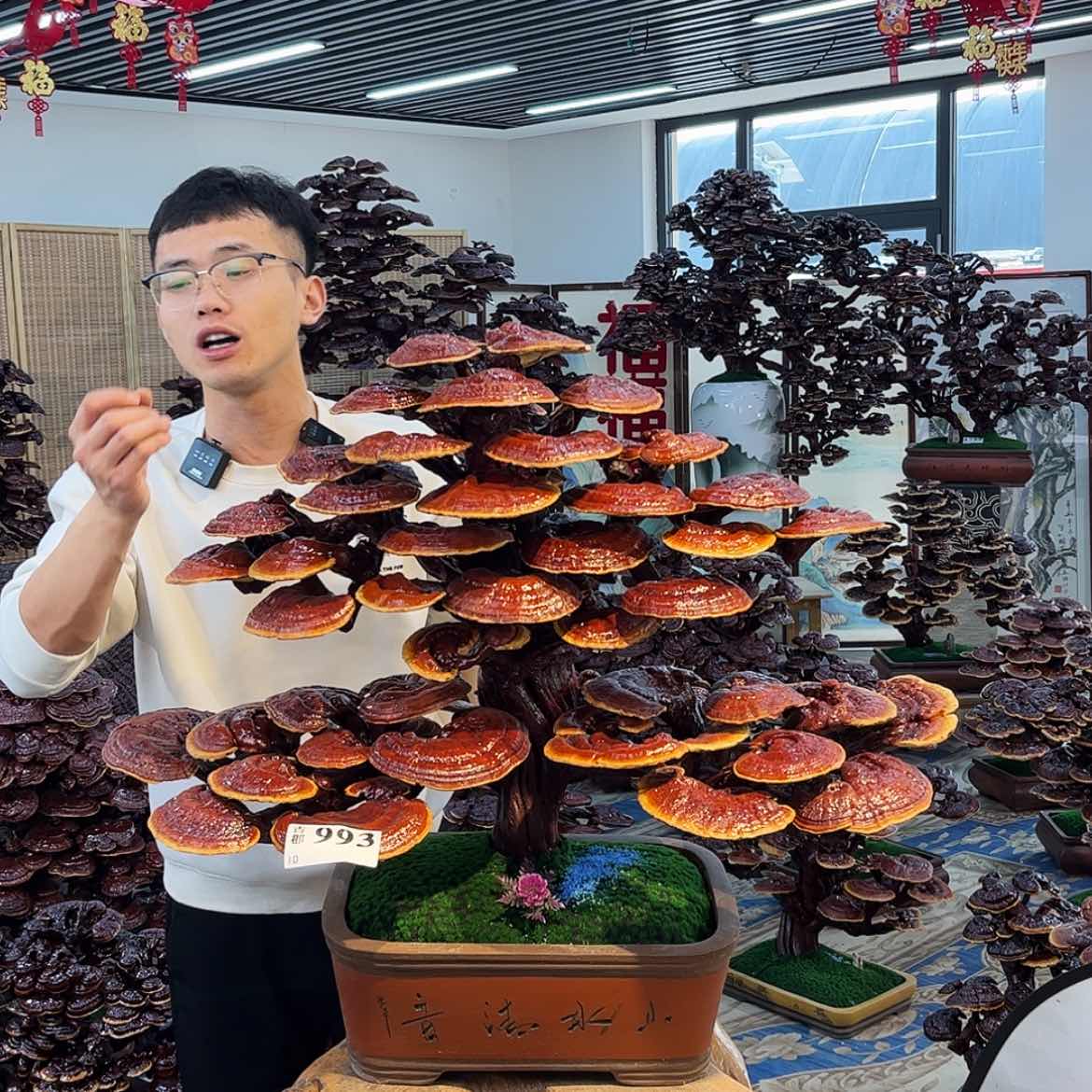 【闪购商品】888888888