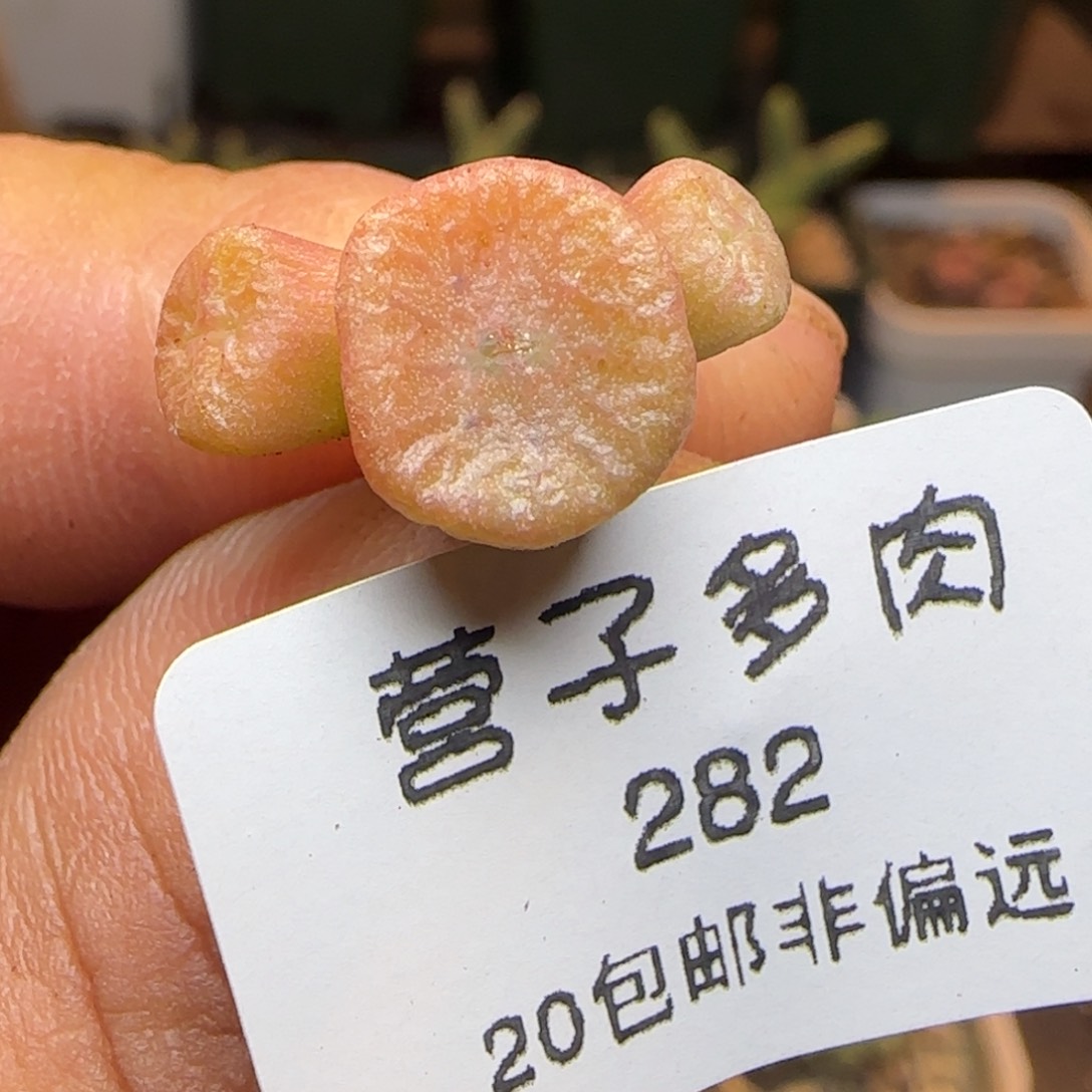 流水铜壶。        