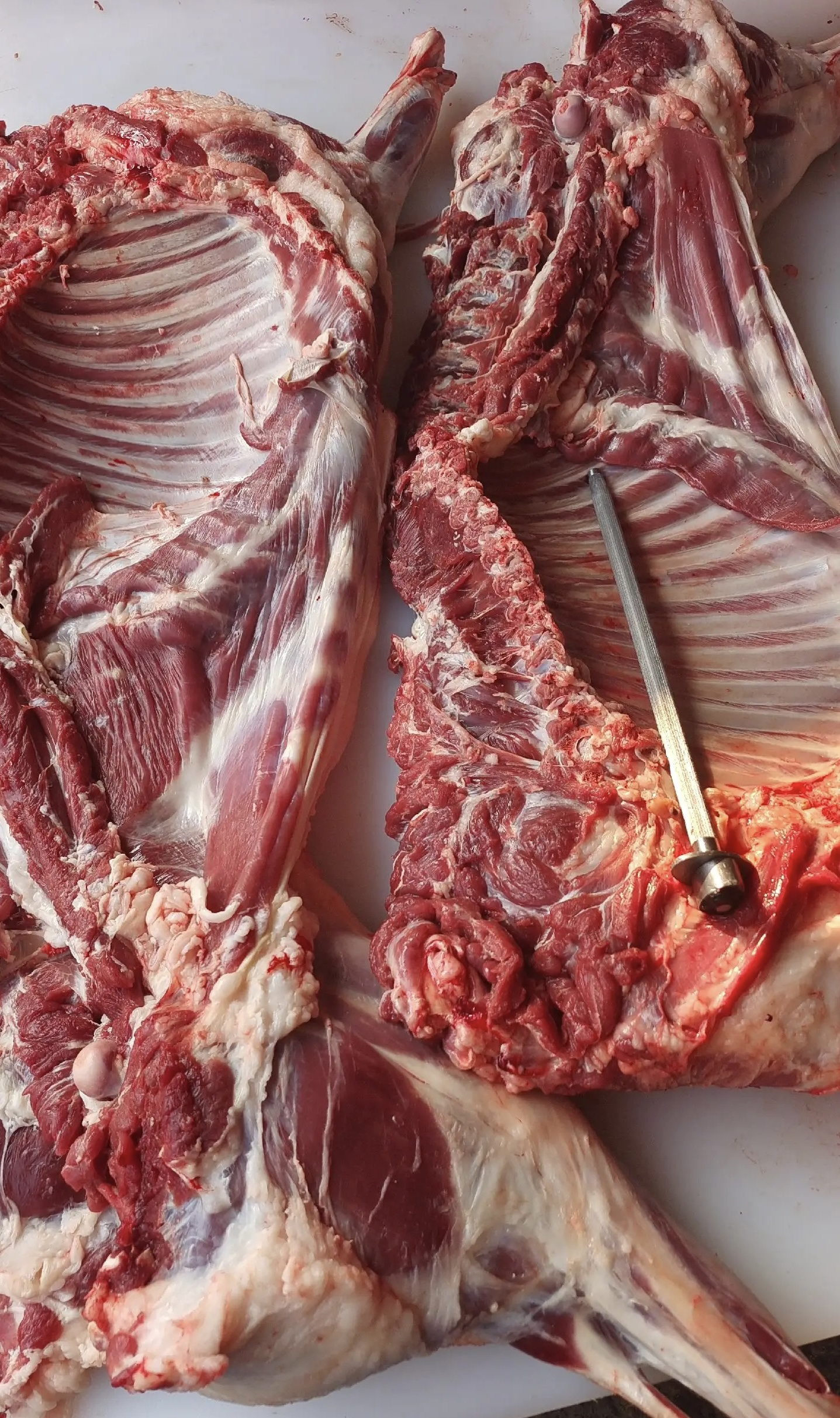 太阳东锅农产品小山羊肉