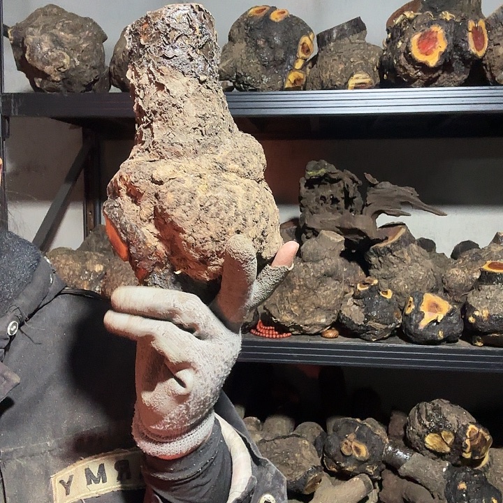 松***店香榧木火琉璃的故事是一个