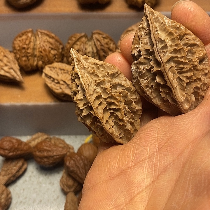 吊坠文玩核桃不错