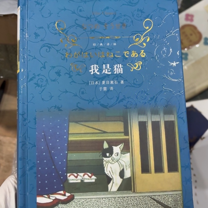 我是猫 闪购闪购闪购8