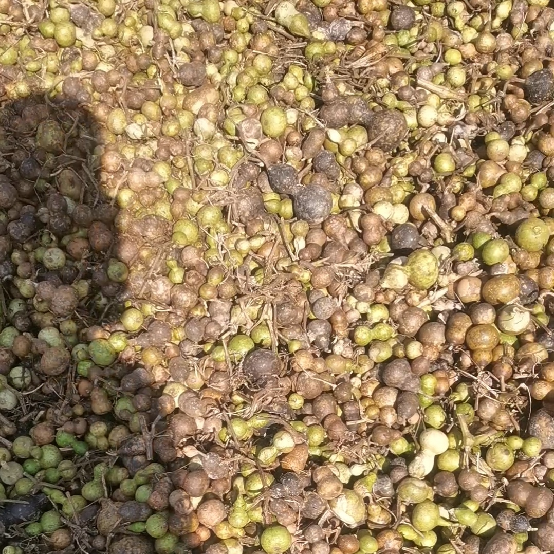 （不保龙头完美主义勿拍）通货天然小葫芦4-6厘米左右葫芦diy用材料
