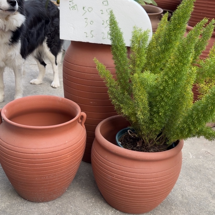 紫砂花盆宜兴紫砂三件套