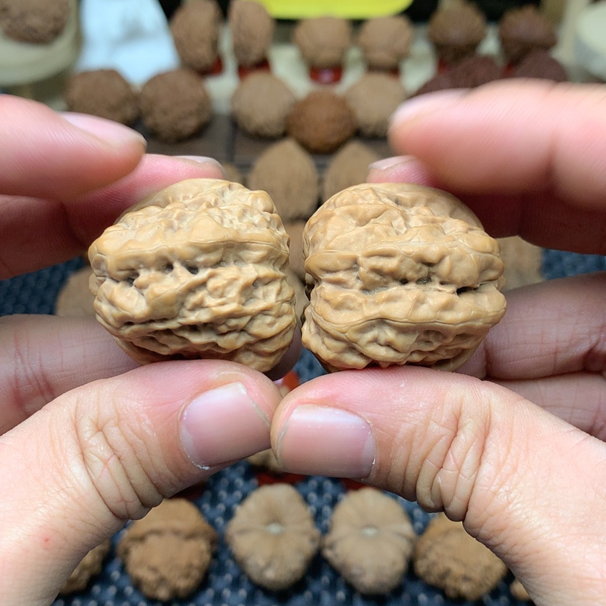 【闪购商品】文玩核桃把件全品36蛤蟆头39.5肚开背