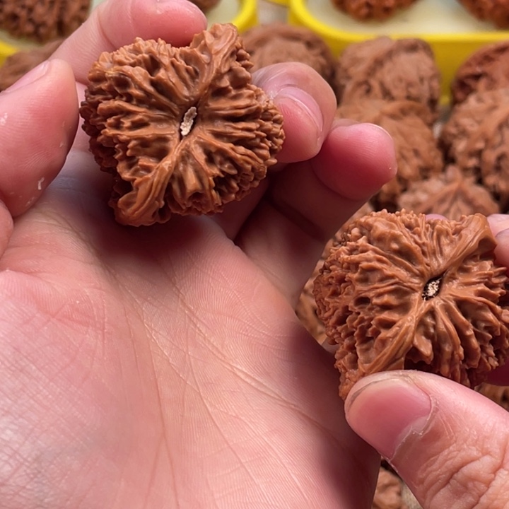 一***新桃核吊坠满天星狮子头