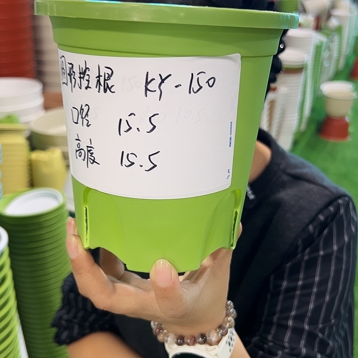 正品圆控口15高15果绿无托10只