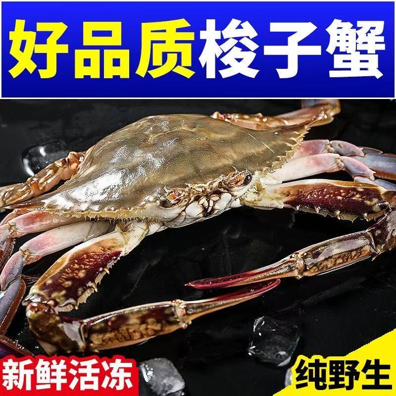 【冻蟹】东海野生海捕舟山梭子蟹肉母蟹3-4两/只净重3.5斤/箱共12只