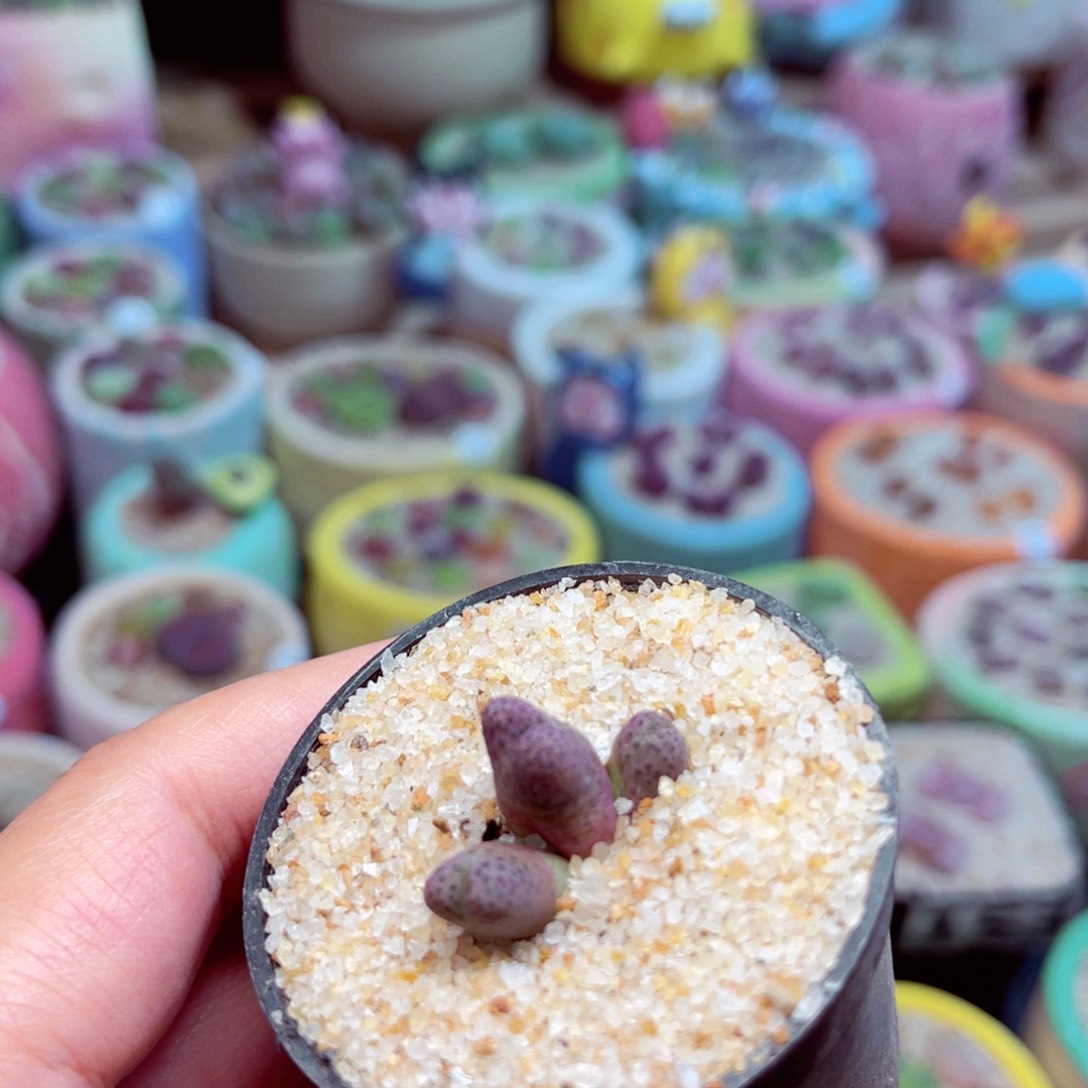 165。888888888888888