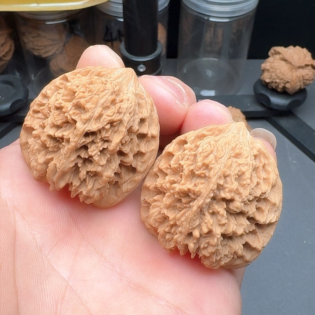 文玩核桃把件39+全品满天星核桃