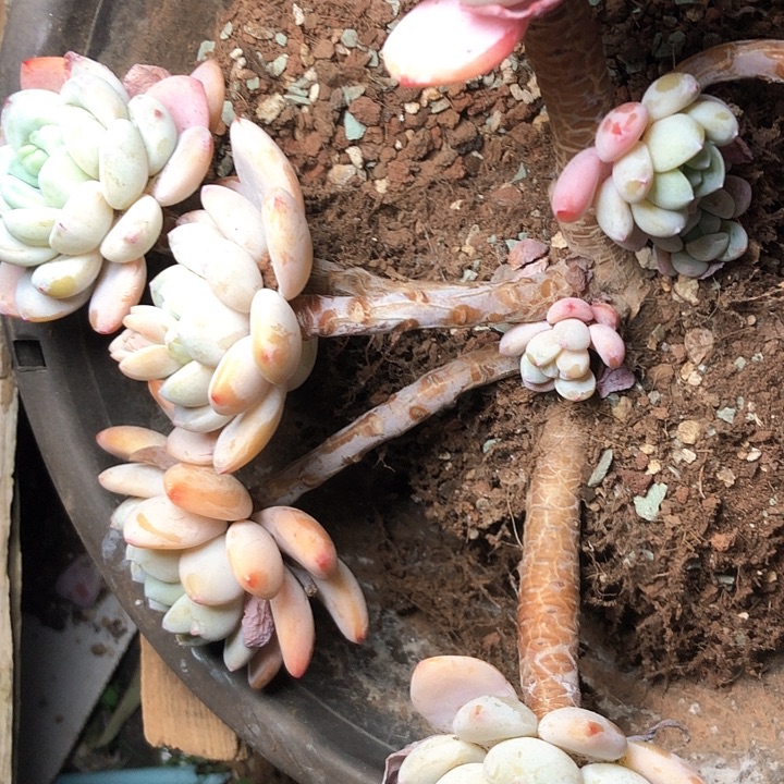 雨**滑74//////////////