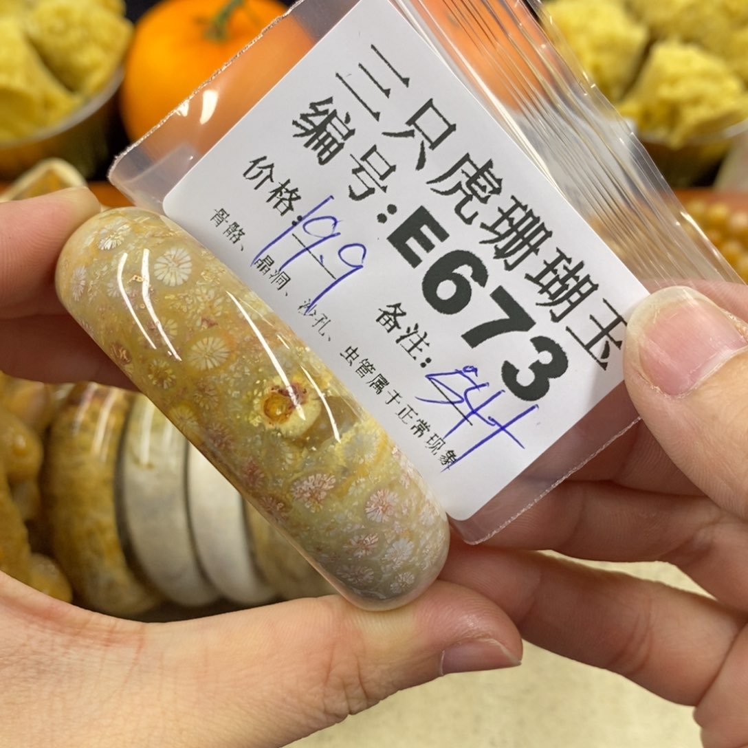 硅化珊瑚（珊瑚玉）1未镶嵌玲*啊